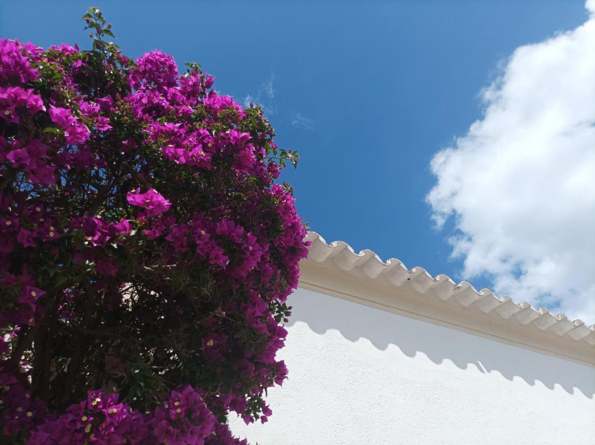 Can Pep Pardal Sant Miquel de Balansat Exterior foto